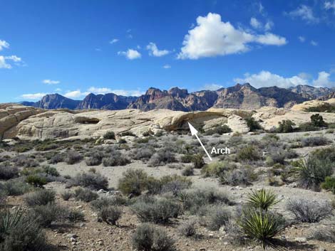 Turtlehead Mountain