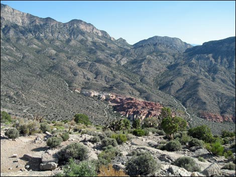 Turtlehead Peak - Summit Views