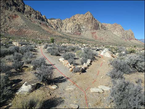 Cottonwood Valley Springs Loop Trail