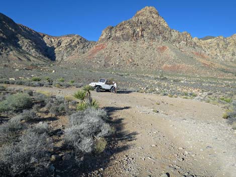 Two Springs Loop Trail