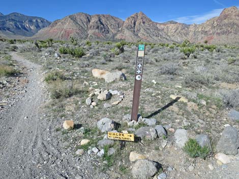 Two Springs Loop Trail