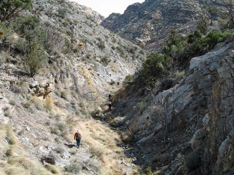 Waterfall Canyon