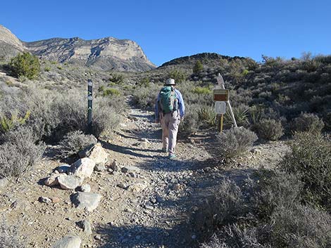 White Rock Loop Trail