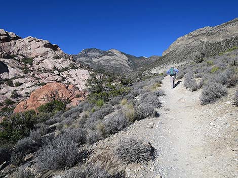 White Rock Loop Trail