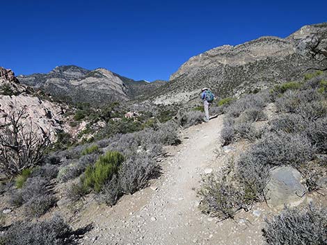 White Rock Loop Trail