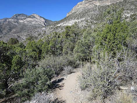 White Rock Loop Trail