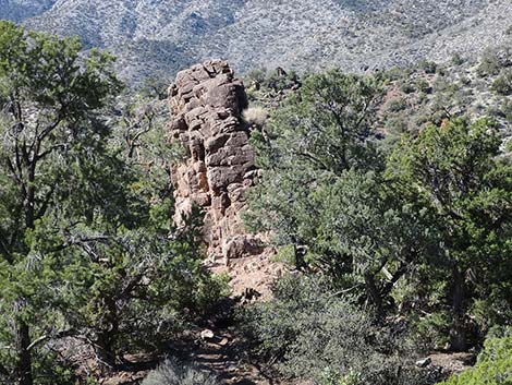 White Rock Loop Trail