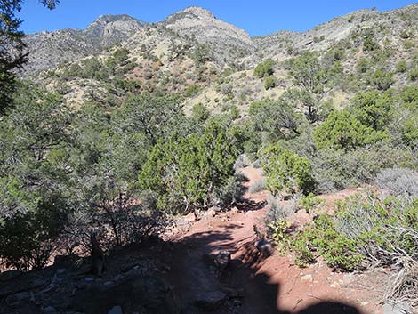 White Rock Loop Trail