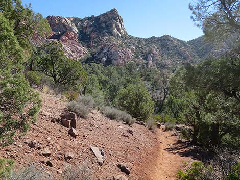 White Rock Loop Trail