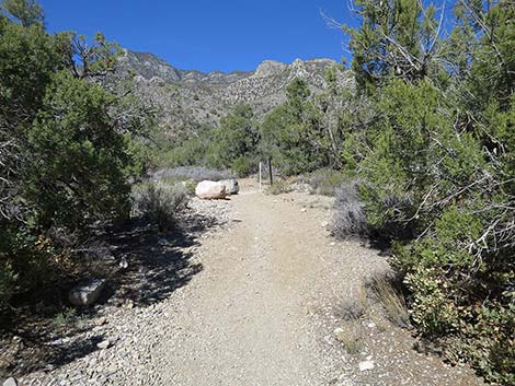 White Rock Loop Trail