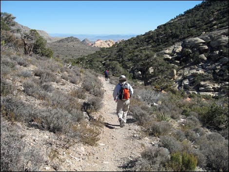 White Rock Loop Trail