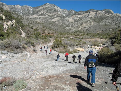 White Rock Loop Trail