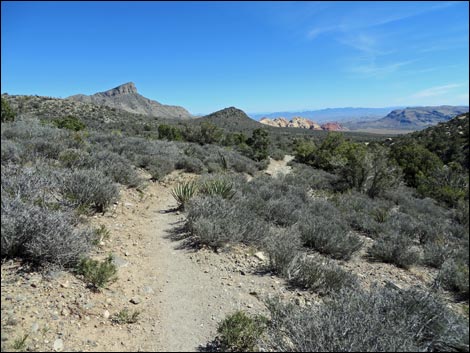 White Rock Loop Trail