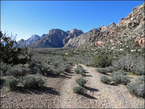 White Rock Loop Trail