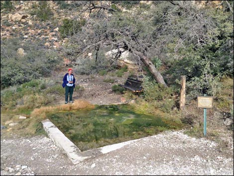 White Rock Spring