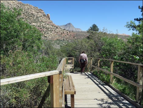 Willow Springs Loop