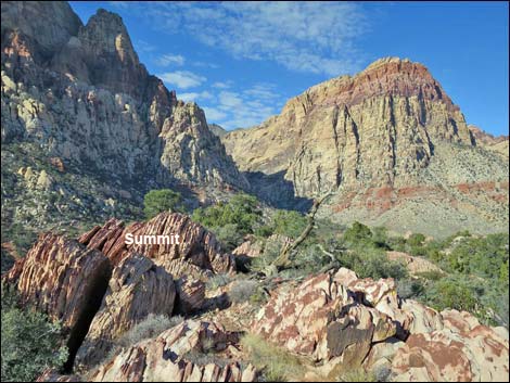 Wilson's Pimple Peak Trail