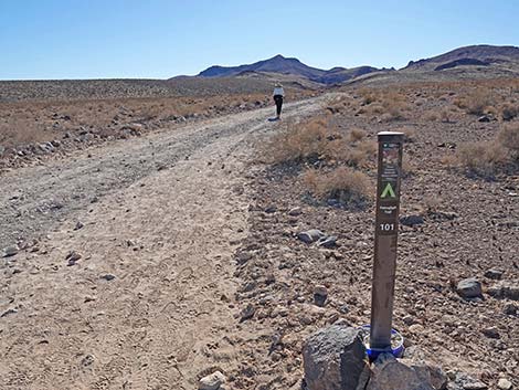 BLM 100 Trail