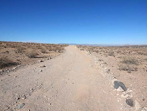 Petroglyph Canyon Trail