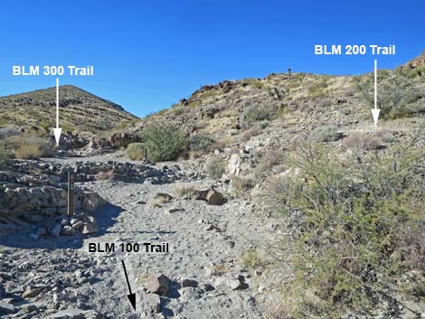 BLM 100 Trail