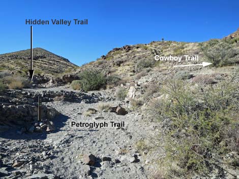 Petroglyph Canyon Trail