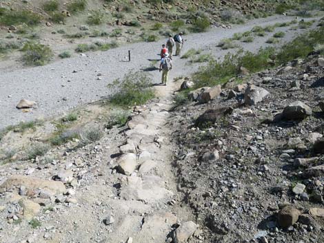 Petroglyph Canyon Trail