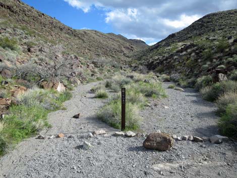 Petroglyph Canyon