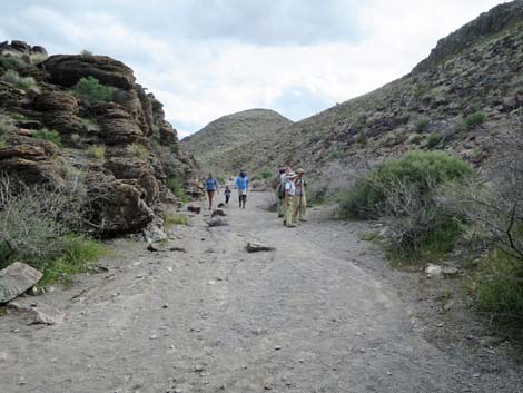 Petroglyph Trail