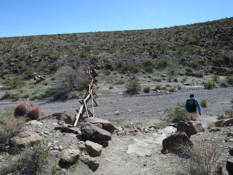 Petroglyph Canyon Trail