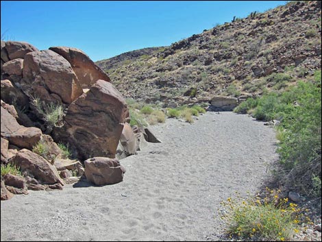 Sloan Canyon BLM 100 Trail