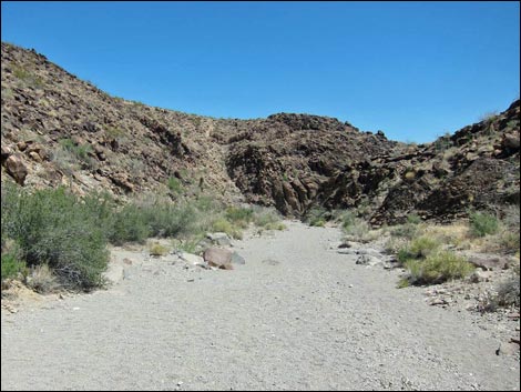 Sloan Canyon BLM 100 Trail