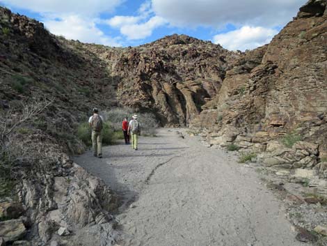 Petroglyph Trail