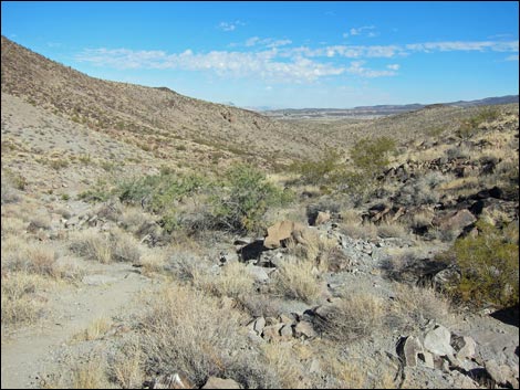 BLM 200 Trail