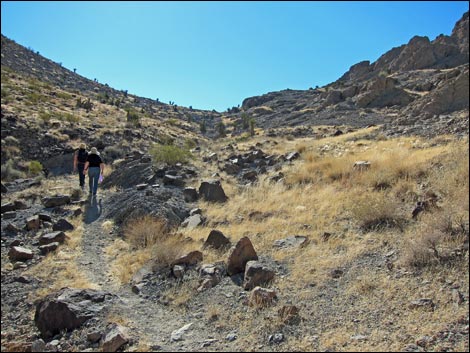 BLM 200 Trail