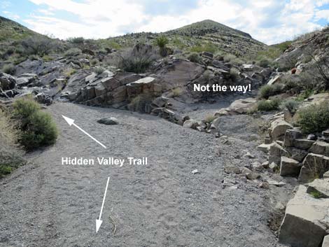 Hidden Valley Trail