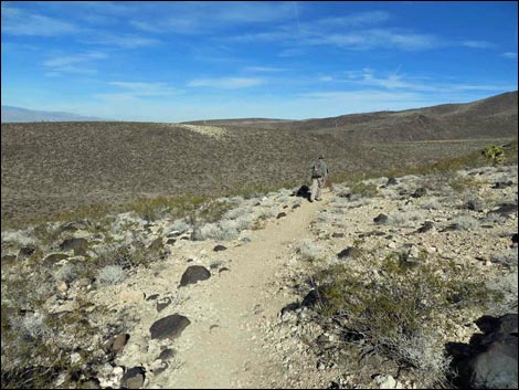 Park Peak Trail