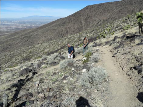 BLM 404 Trail