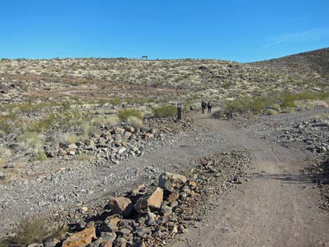 McCullough Hills Trail