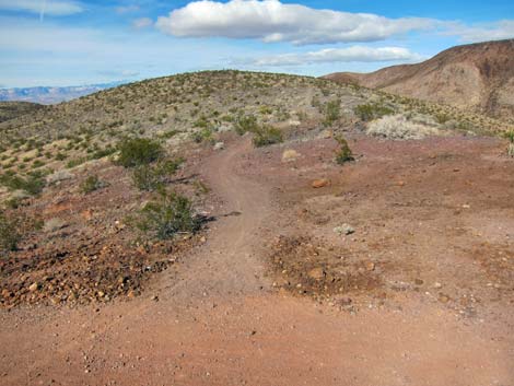 McCullough Hills Trail