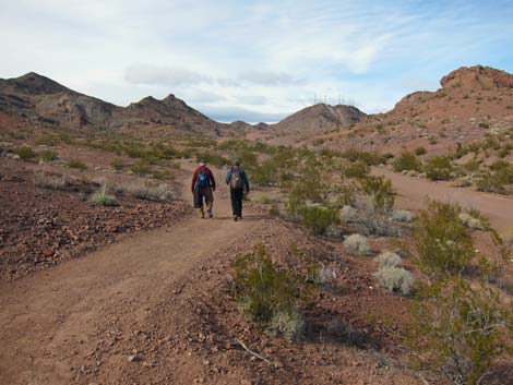 McCullough Hills Trail