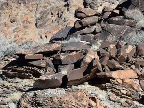 Sloan Canyon Petroglyphs