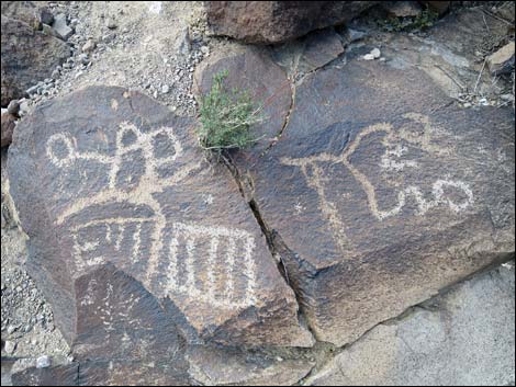 Sloan Canyon Petroglyphs