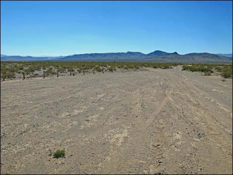 Hidden Valley Trailhead