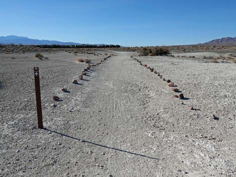 Aliente Loop Trail