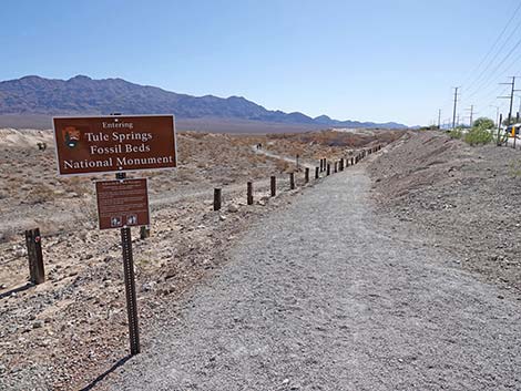 Durango Temporary Loop Trail -- Long