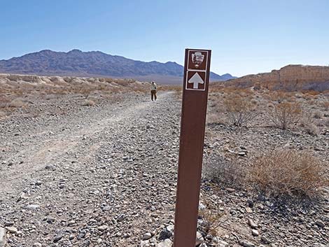 Durango Temporary Loop Trail -- Long