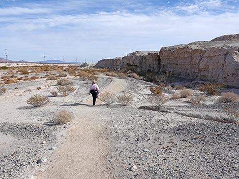 Big Dig Trail