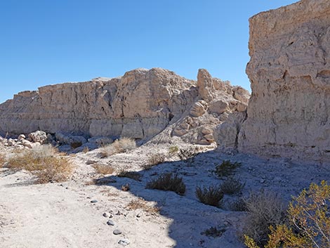 Big Dig Trail