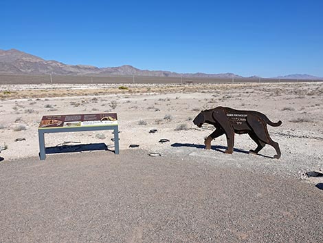 Megafauna Trail