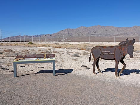 Megafauna Trail